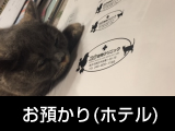 お預かり(ホテル)