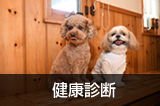 健康診断