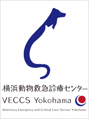 横浜動物救急診療センター