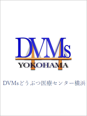 DVMｓどうぶつ医療センター